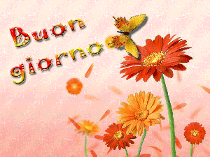 !buon-giorno