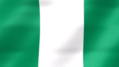 Гифки флага Нигерии - 14 развевающихся флагов