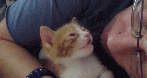 Goodnight Kiss GIFs - 100 Animated Pics For Free