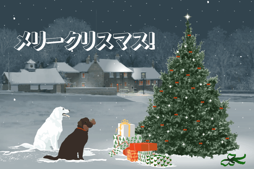 クリスマス GIF クリスマスでの願いを込めたアニメーション画像
