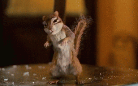 squirrel-animated-gif-28