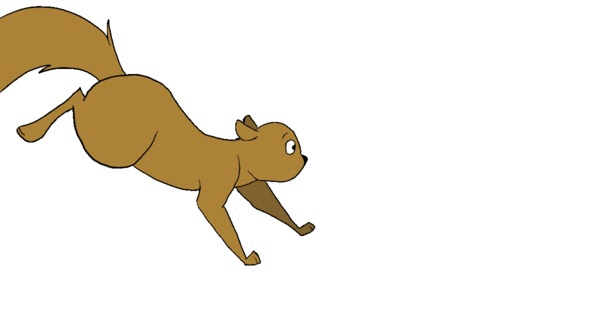 Veverky ve formátu GIF - animované obrázky tohoto roztomilého hlodavce