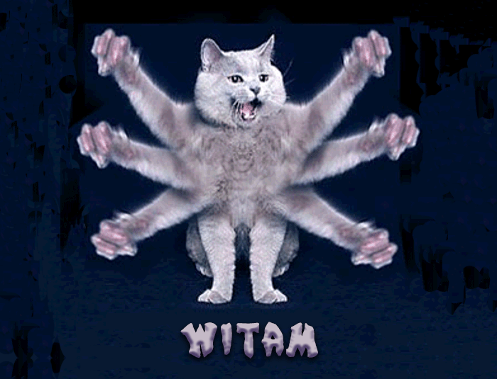 witam-14