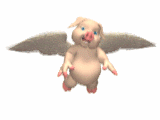 65-angel-pig-is-flying