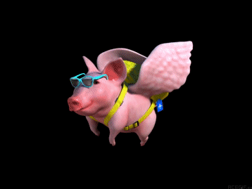 GIFs de porcos voadores