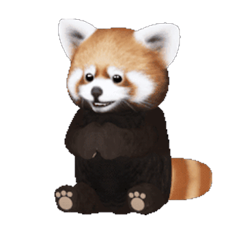 Panda roux GIFs