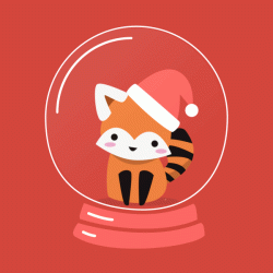 Panda roux GIFs - mignons et drôles petits pandas GIFs