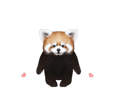 red-panda-51