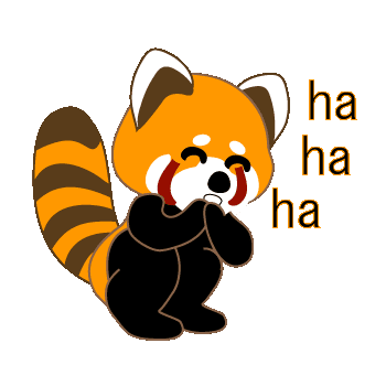 Panda rojo GIFs