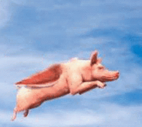 1-realistic-pig-flying