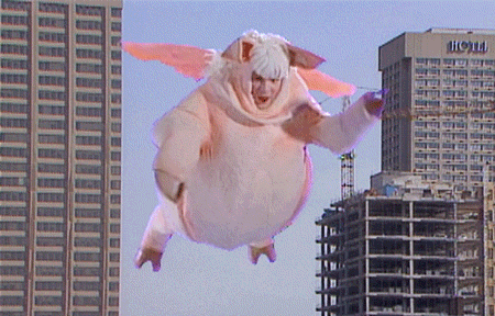 17-flying-in-a-pig-costume