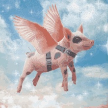 Le GIF di maiali volanti