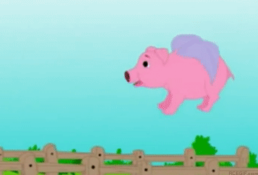 21-pink-flying-pig-acegif
