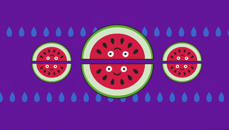 24-watermelon-vibing-together-acegif