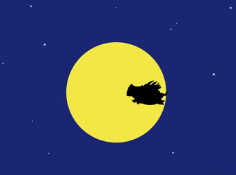 25-moon-pig-flying-acegif