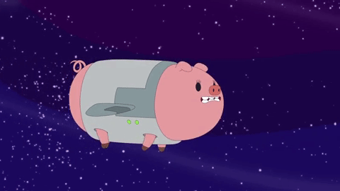 25-space-pig-journey