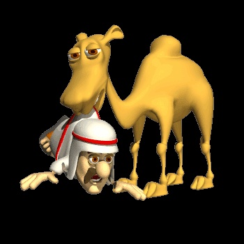 Верблюды Гифки - 130 GIF изображений верблюдов
