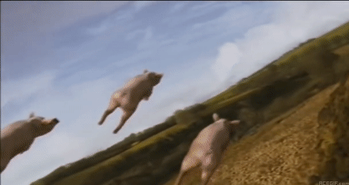 Latające świnie GIF-y
