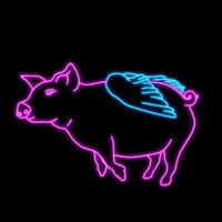 43-neon-flying-pig