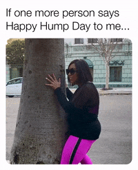 Happy Hump Day GIFs