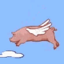 Le GIF di maiali volanti