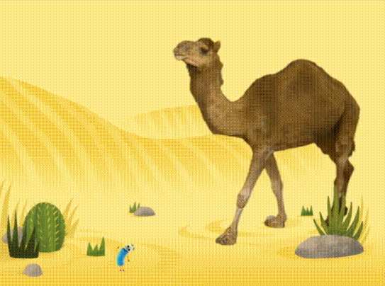 58-walking-camel