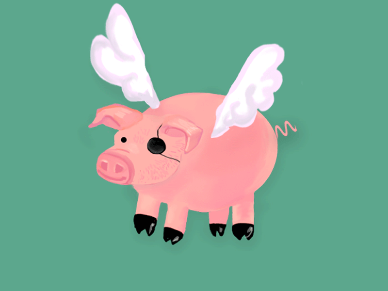 6-flying-pirate-pig