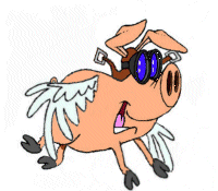 62-pig-in-glasses-flying