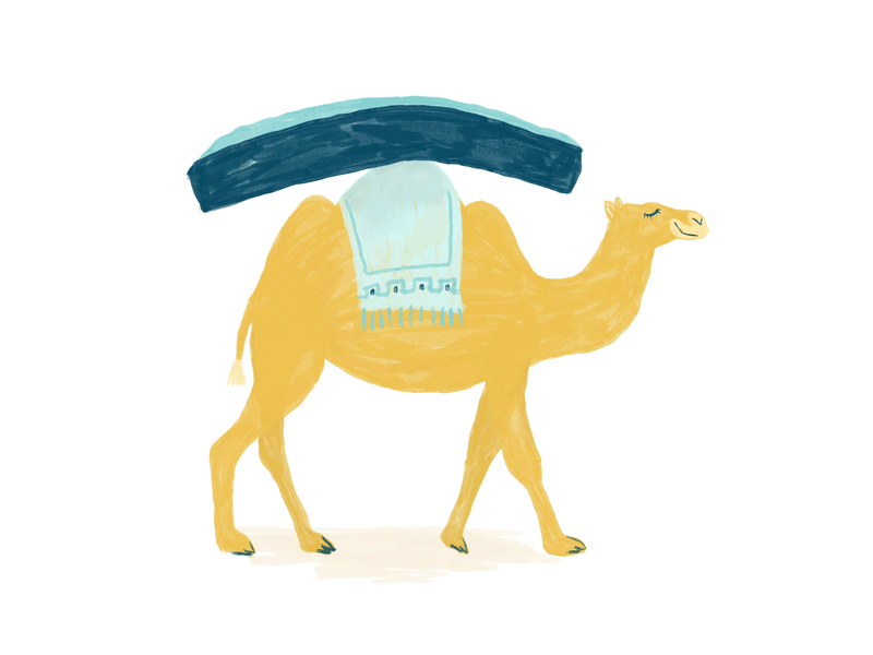 63-camel-with-mattres