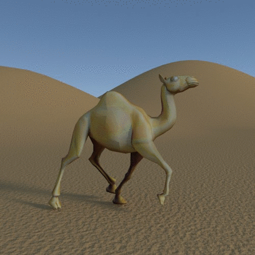 67-camel-moonwalk