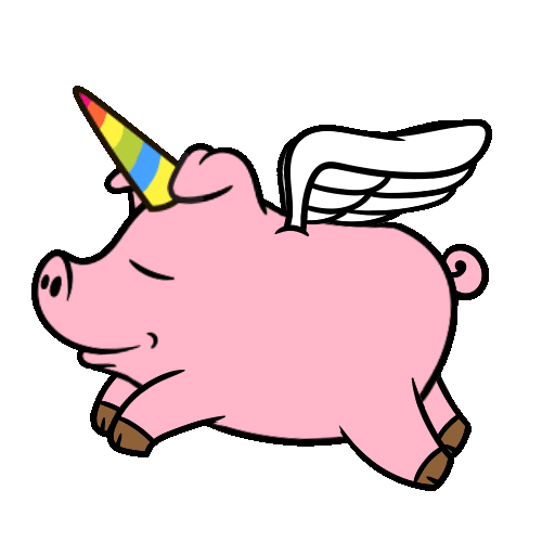67-unicorn-pig-is-flying