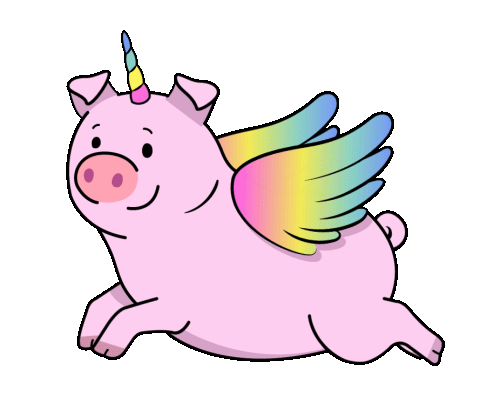 69-rainbow-wings-pig-is-flying