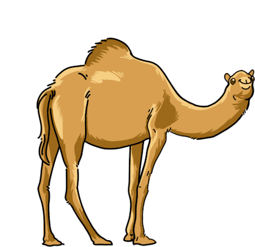 Kamel GIFs - 130 animierte GIF-Bilder von Kamelen