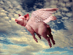 75-pig-in-sky-flying