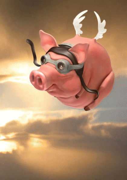 78-realistic-pig-in-glasses