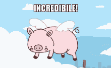 9-cute-flying-pig-meme