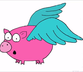9-funny-flying-pink-pig-acegif