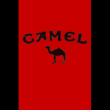 GIFs de camellos: 130 imágenes GIF animadas de camellos