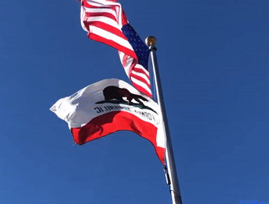 california-flag-acegif-13
