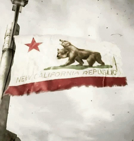 california-flag-acegif-20