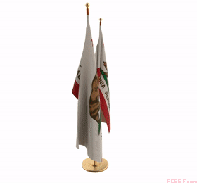 california-flag-acegif-28