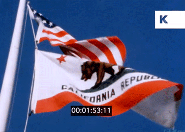 california-flag-acegif-6
