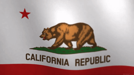 california-flag-acegif-7