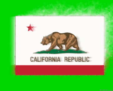 california-flag-acegif-9