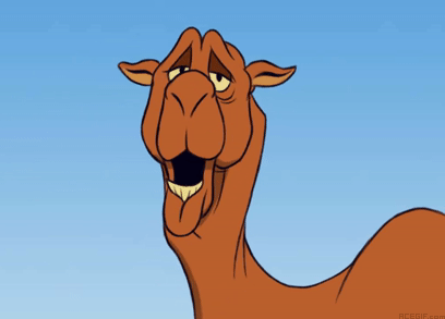 camel-acegif-39-funny-chewing-camel