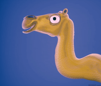 ラクダの GIF - ラクダの 130 のアニメーション GIF 画像