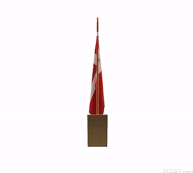 GIF de la bandera de Dinamarca