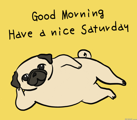 Good Morning Saturday GIFs - 50 Animated Greeting Cards