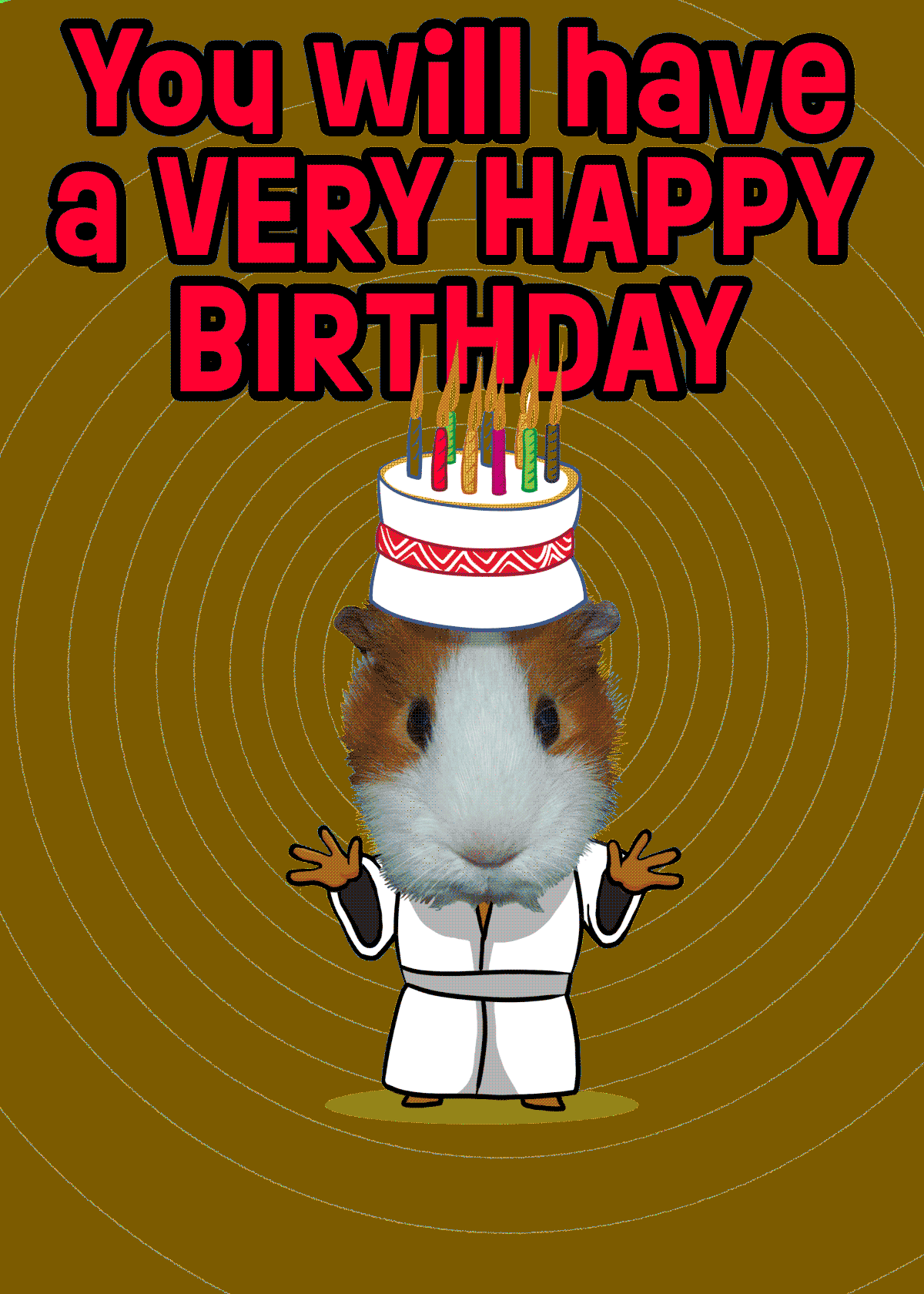 guinea-pig-37-guinea-pig-happy-birthday