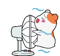 hot-weather-36-cute-hamster-and-fan